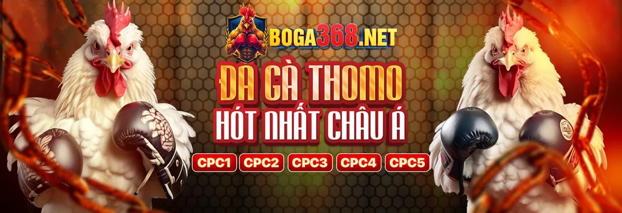 Đá gà trực tuyến sôi động tại keo88 app